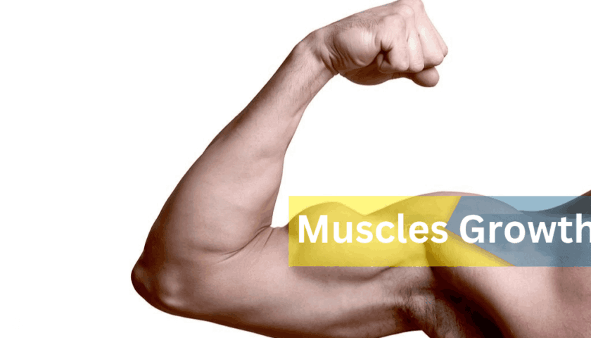 Muscles Growth